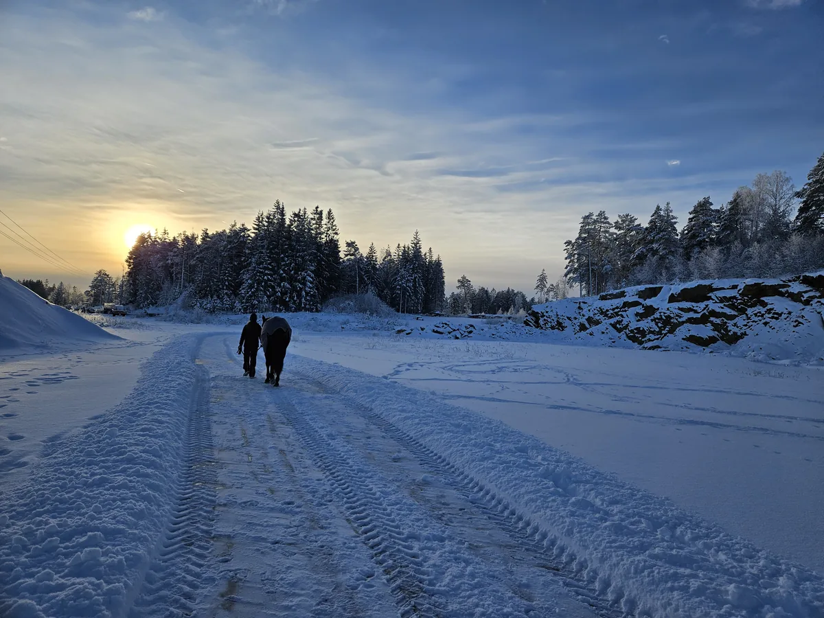 Ekte mobilfoto av person som går med hest på snødekt vei i soloppgang, tatt med Samsung Galaxy S23