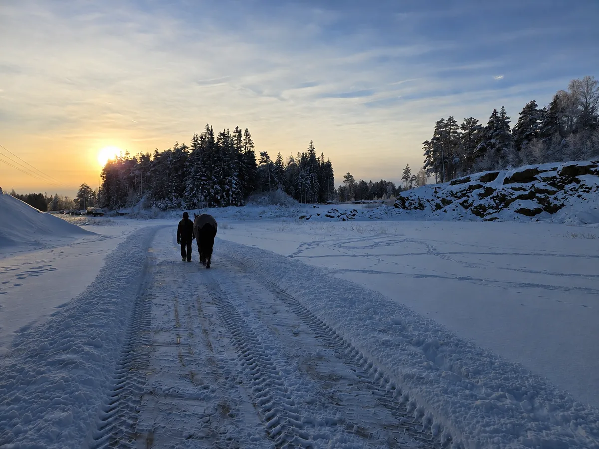 Nok et KI-generert vinterlandskap med person og hest på snødekt vei