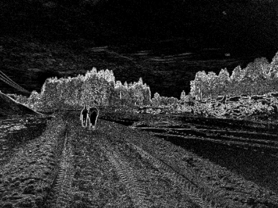 Støykart av det ekte fotoet: jevnt korn fordelt over hele flaten